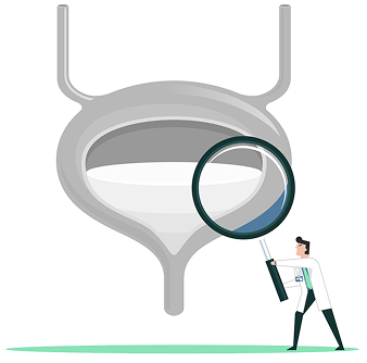 A medical illustration of a bladder with a magnifying glass held by a doctor, symbolizing examination or diagnosis of the urinary system.